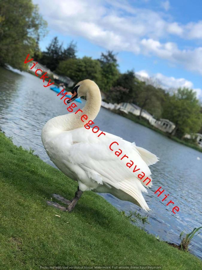 Haggerston Castle Tower Lawn Hire Ξενοδοχείο Berwick Upon Tweed Εξωτερικό φωτογραφία